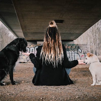 © Fotografie Hochwimmer - Tierfotografie